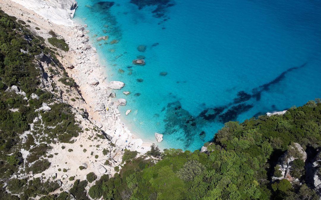 Sardegna, un sogno con le ali