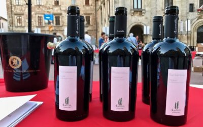 Ode al vino, figlio stellato della terra