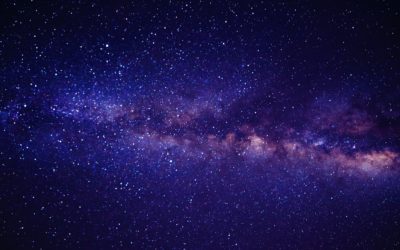 La segreta bellezza (Privé)