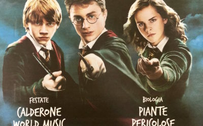 Harry Potter, magia senza età