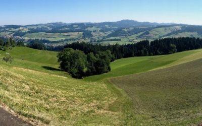 Nel cuore verde dell'Emmental