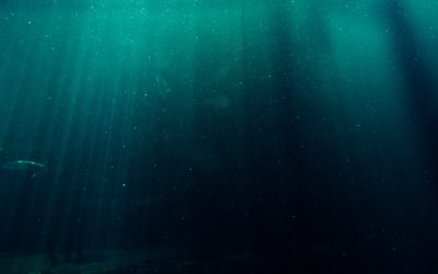 Il mare nel letto (Privé)