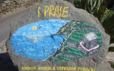 Azienda Agricola Ferreri Caterina, un mare di bollicine nel cuore di Pantelleria